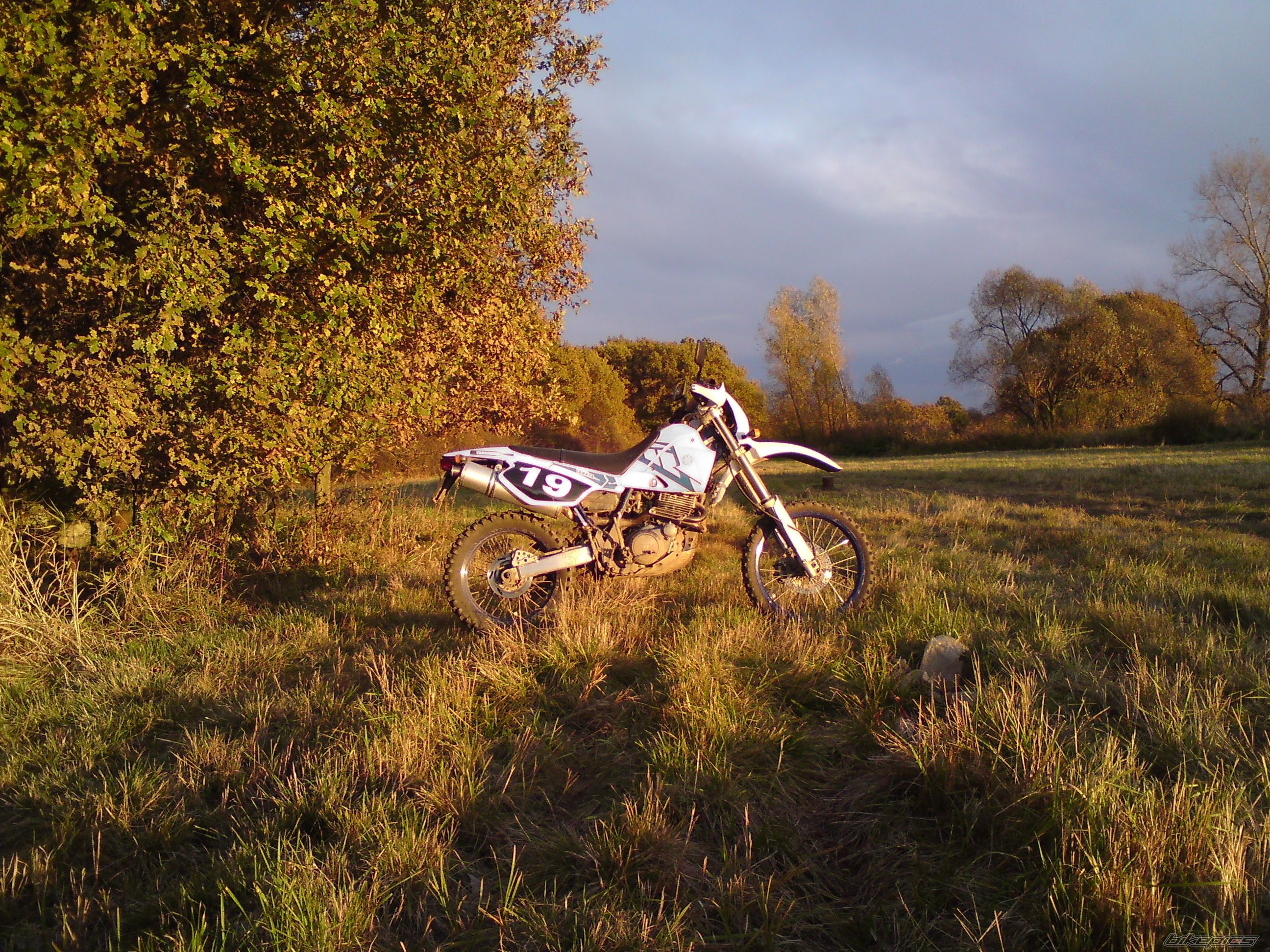 Photo 2085419