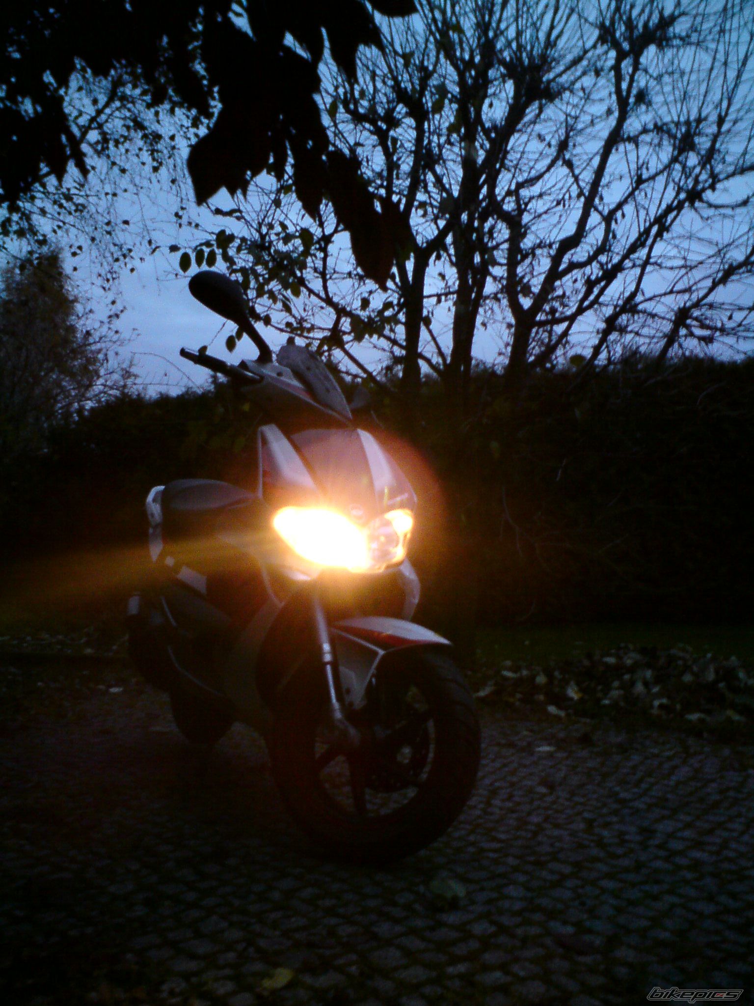 Photo 2085687