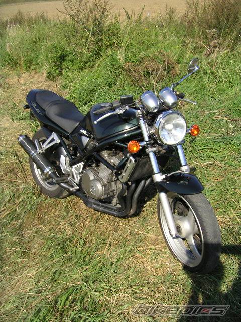 Photo 208614