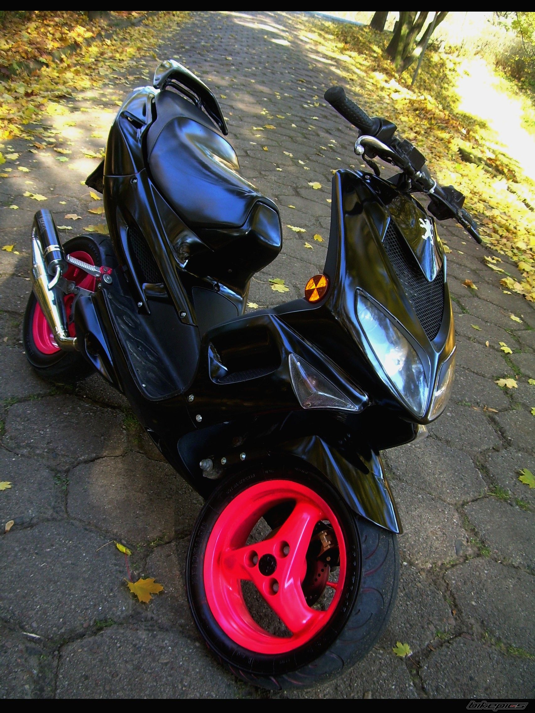 Photo 2086145
