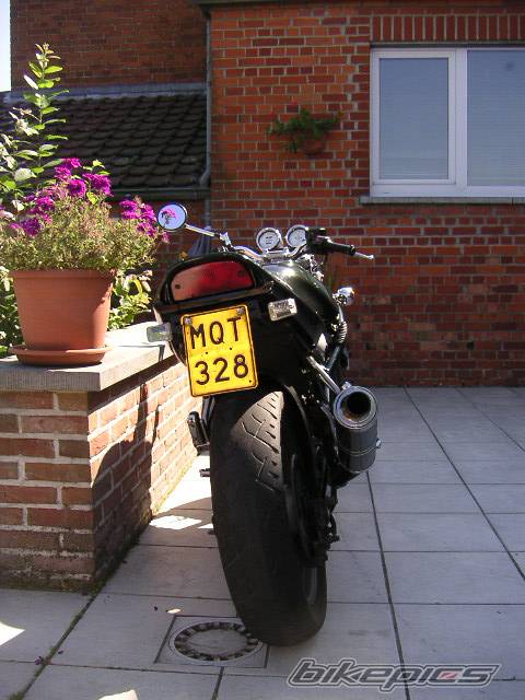 Photo 208618