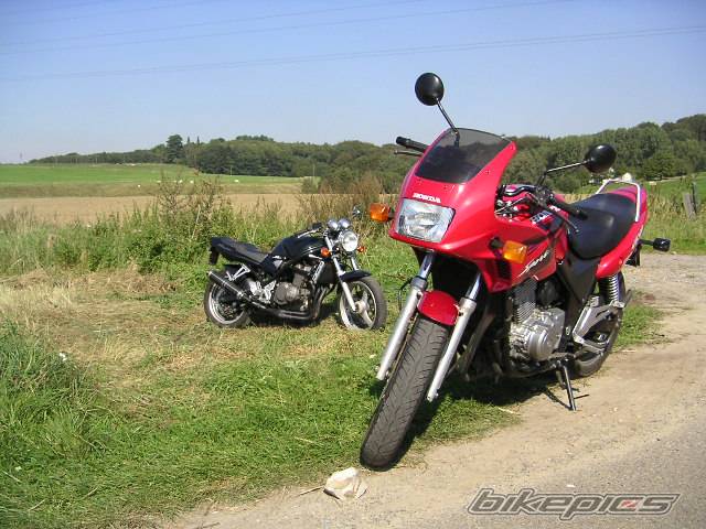 Photo 208620