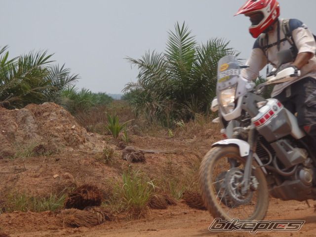 Photo 2086776