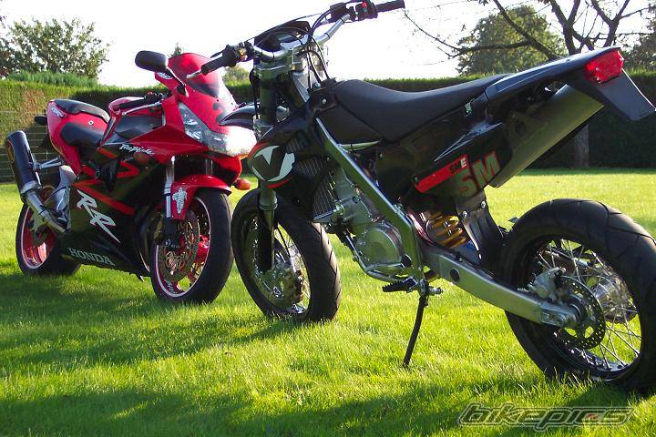 Photo 208687