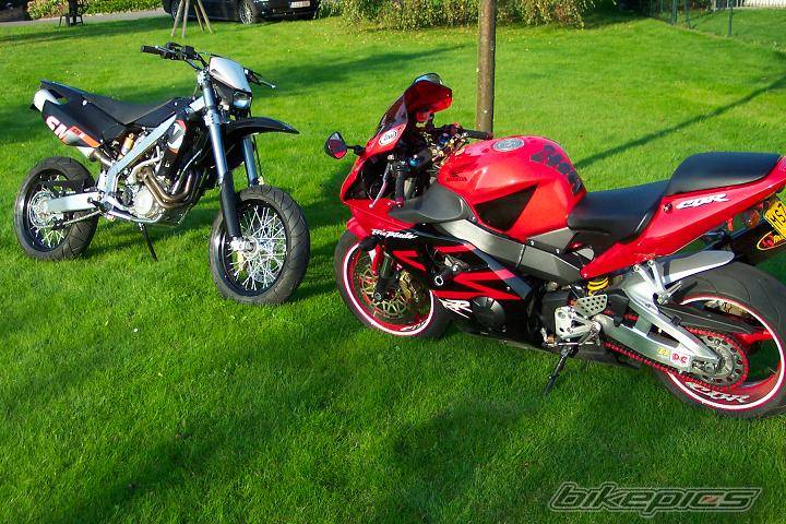 Photo 208688