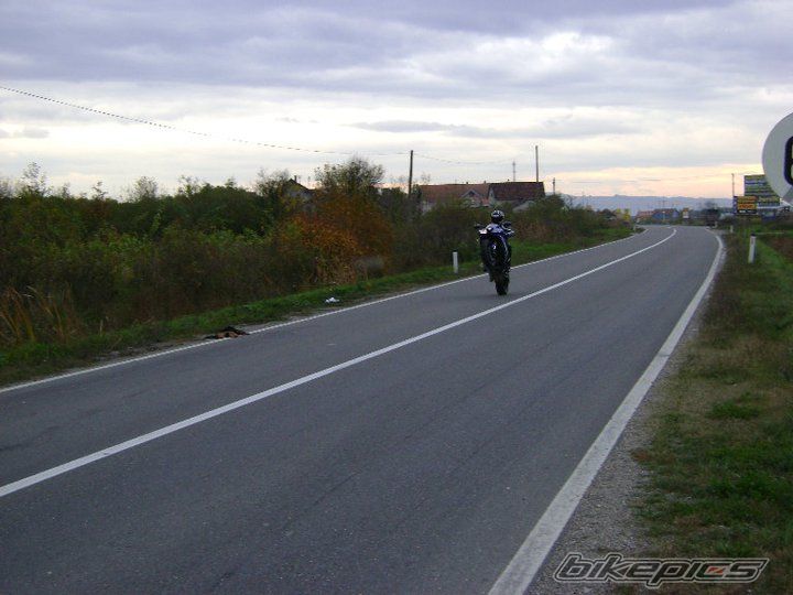 Photo 2086997