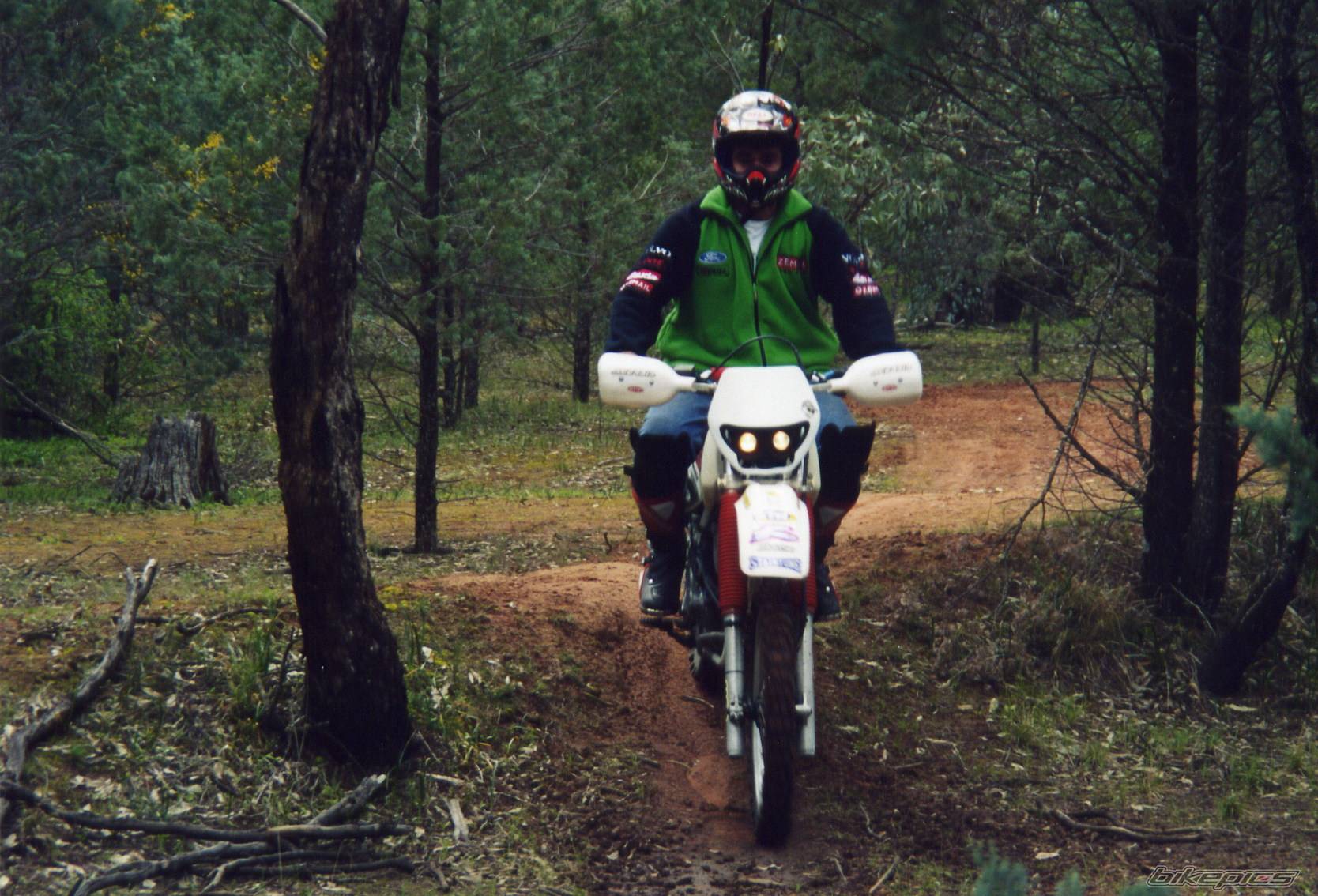 Photo 208702