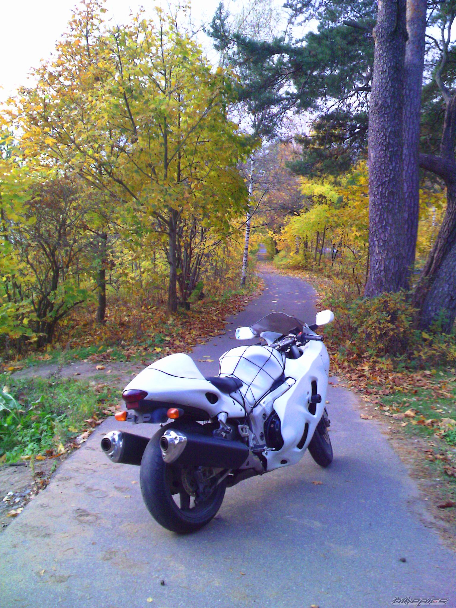 Photo 2087075