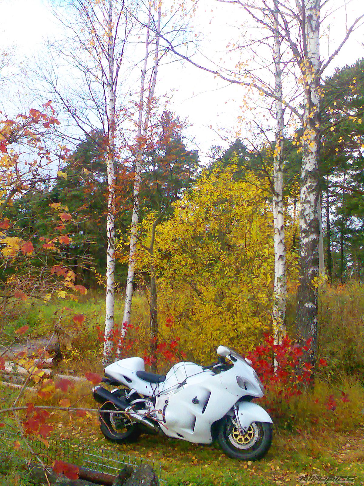 Photo 2087078