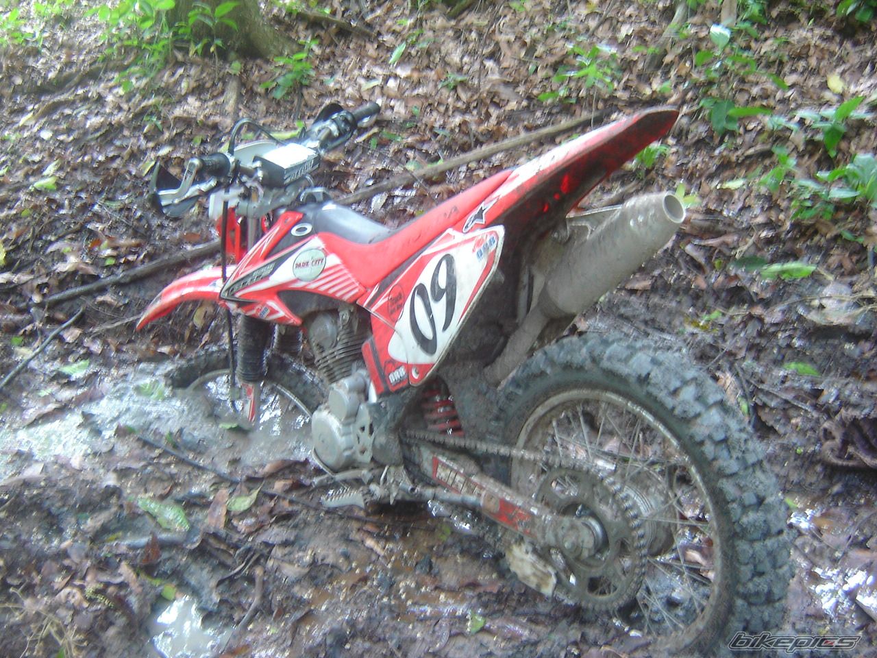 Photo 2087101