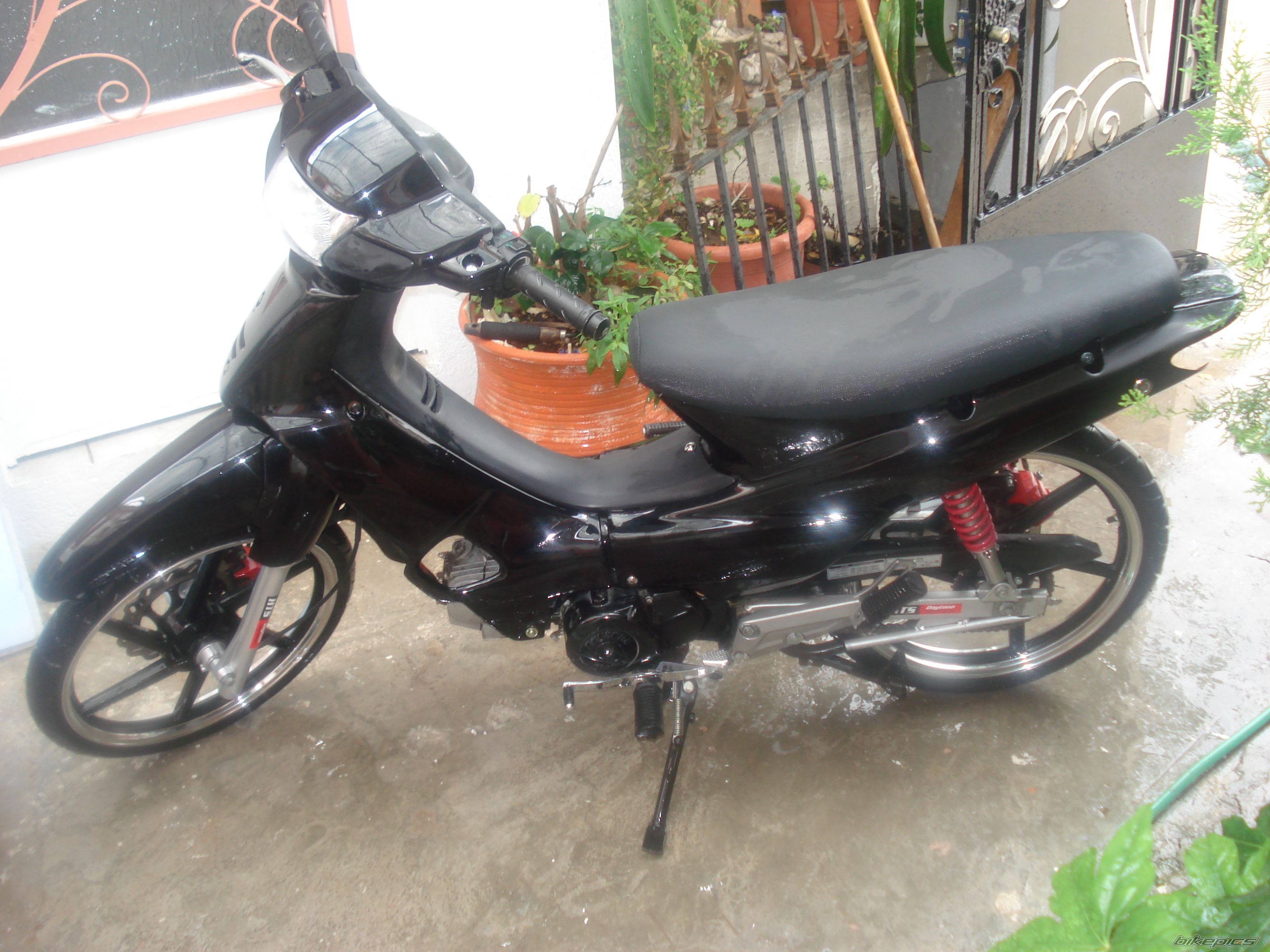 Photo 2087337