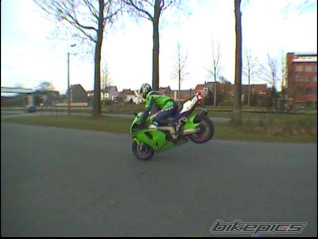 Photo 20874