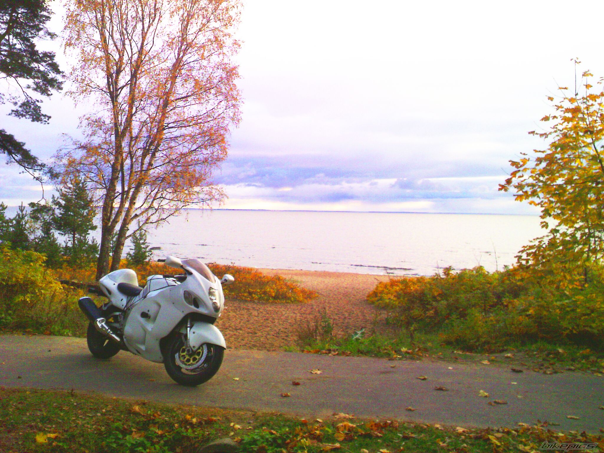 Photo 2087427