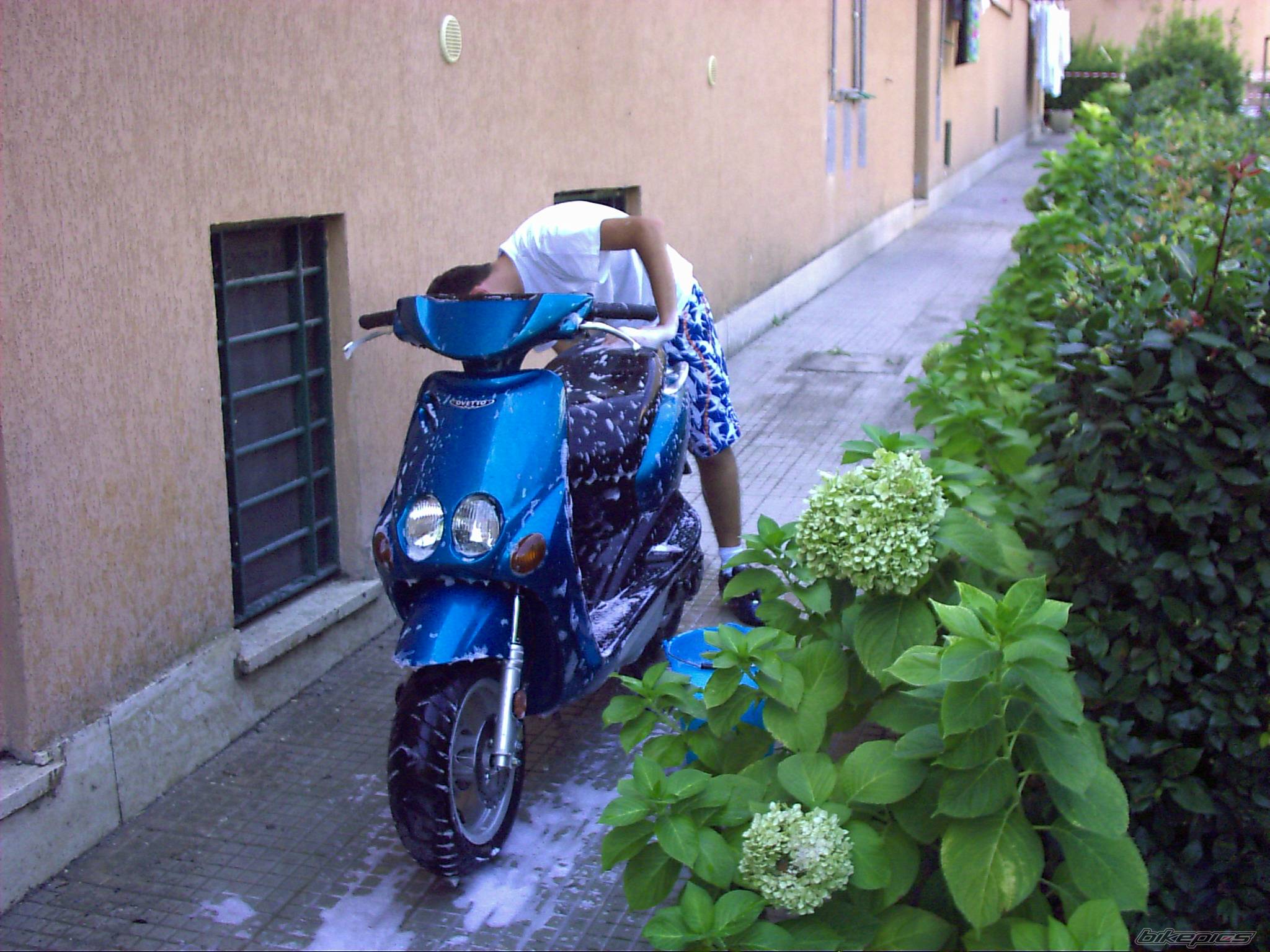 Photo 208758
