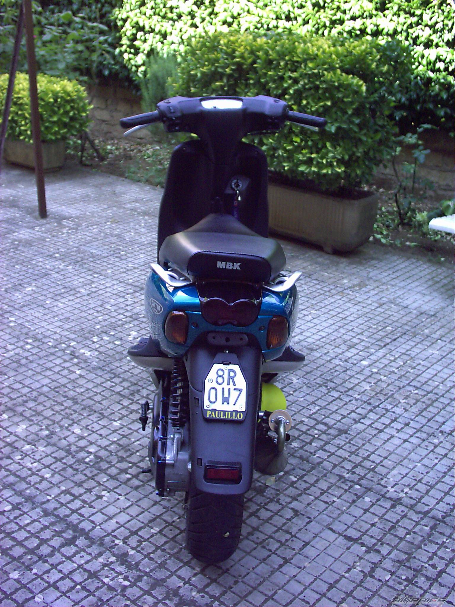 Photo 208761