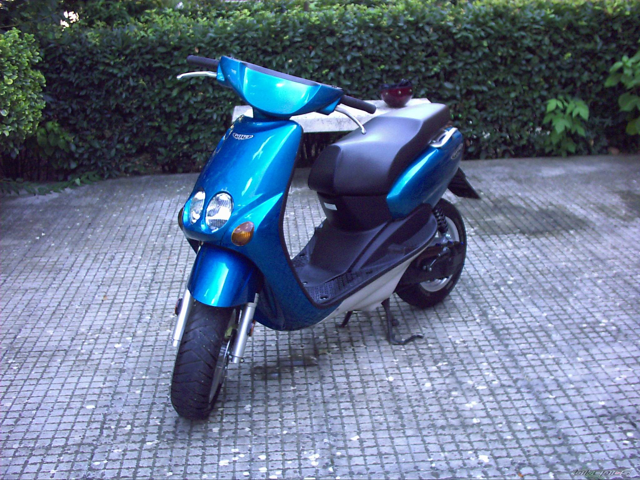 Photo 208762