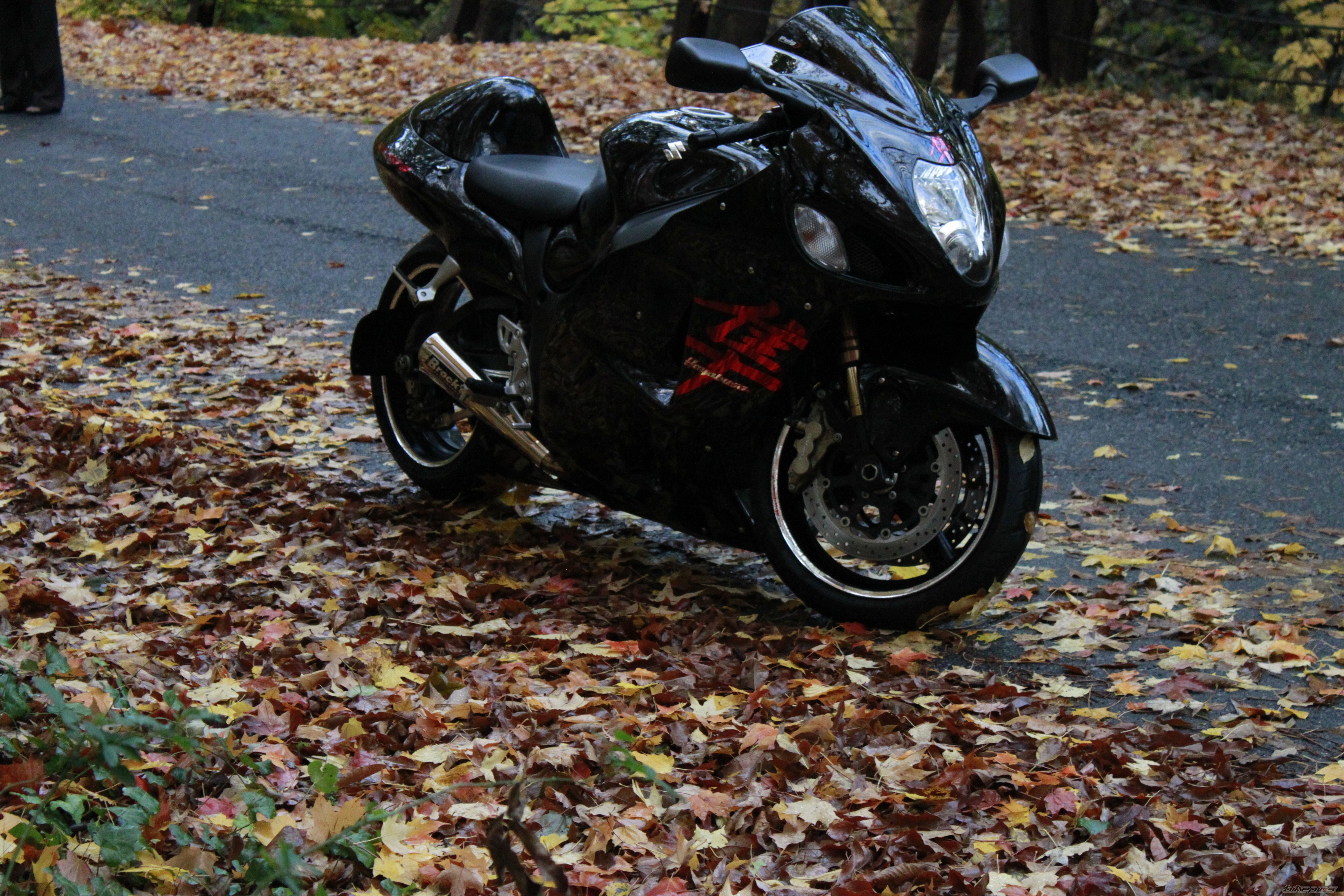 Photo 2087672