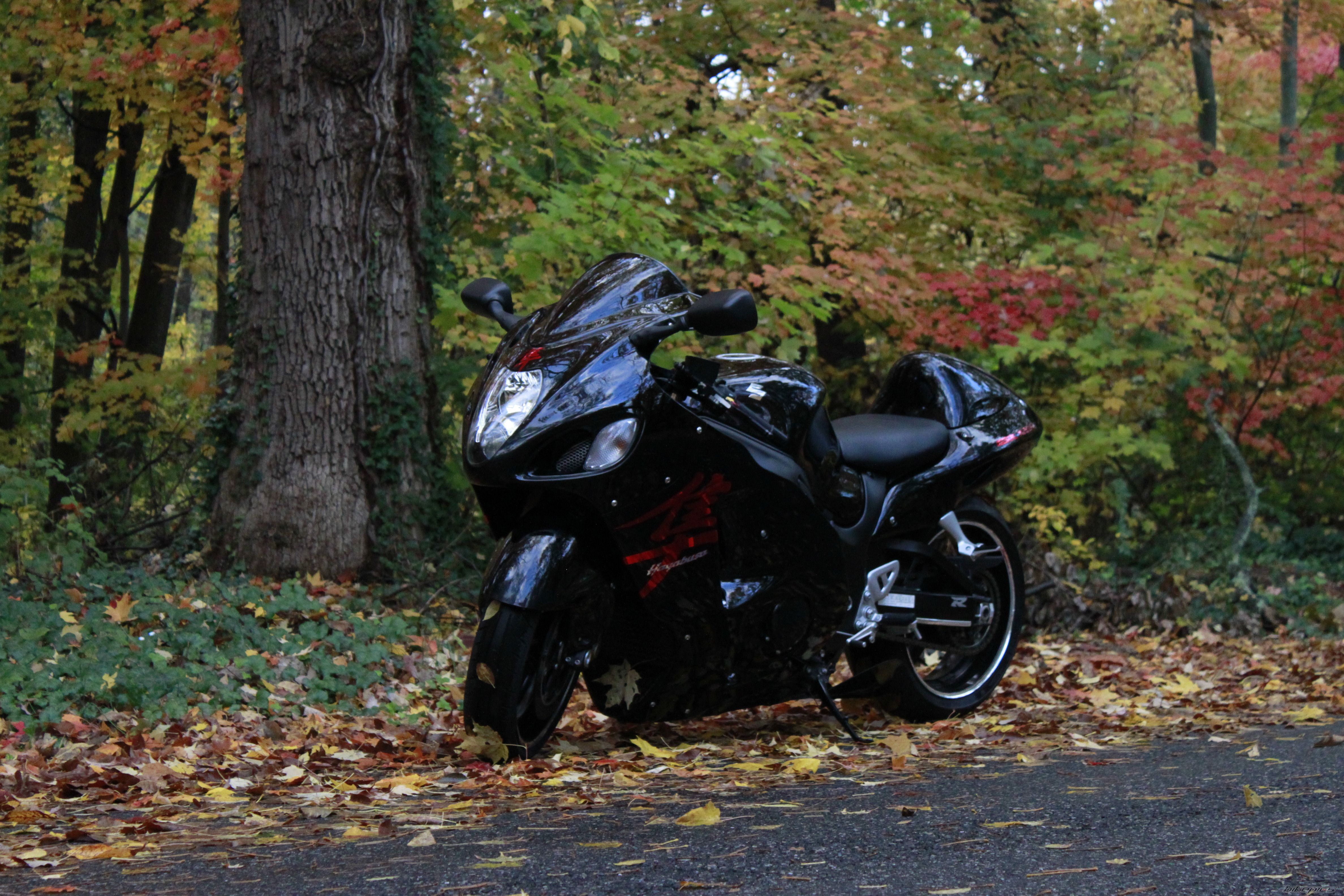 Photo 2087673