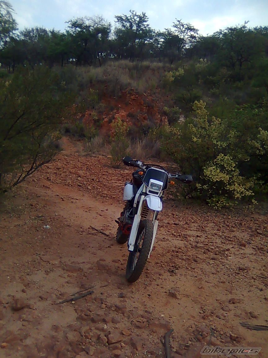 Photo 2087886