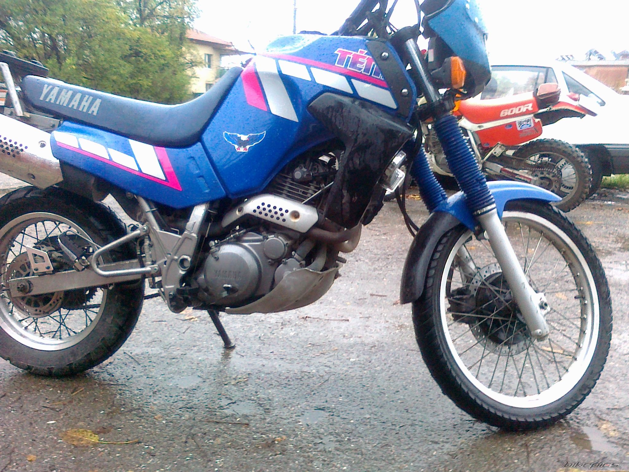 Photo 2087932