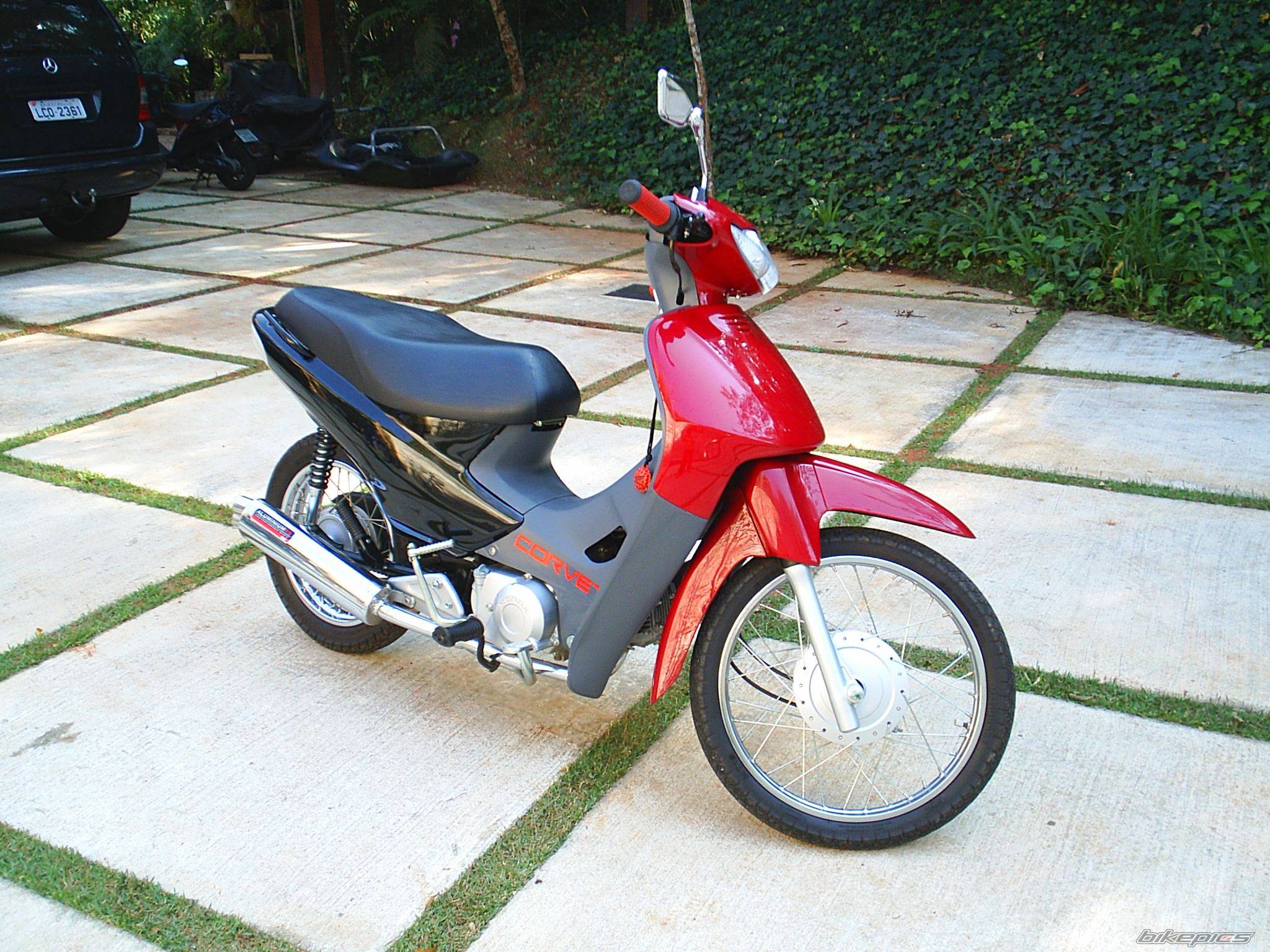 Photo 208794