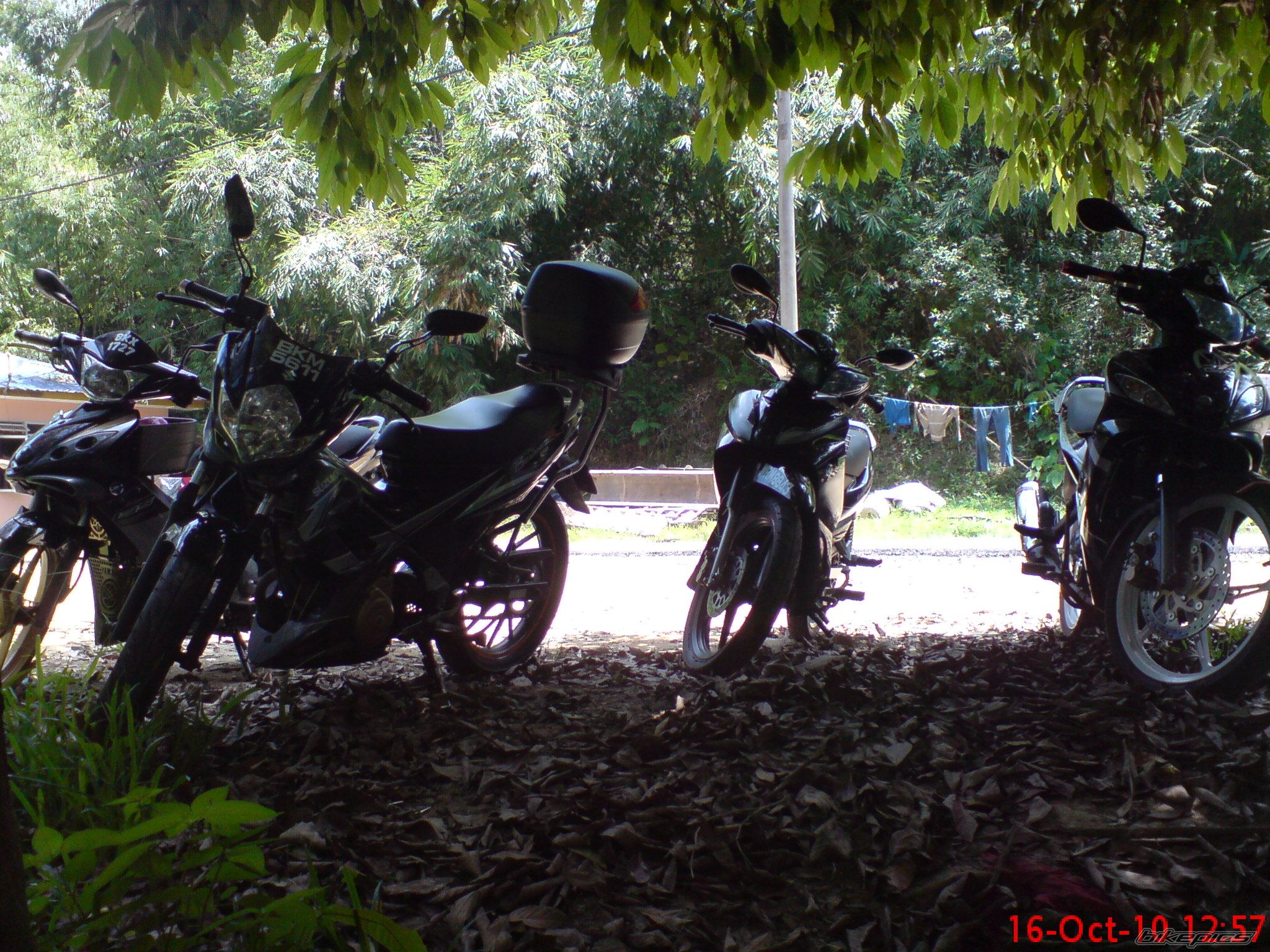 Photo 2088045