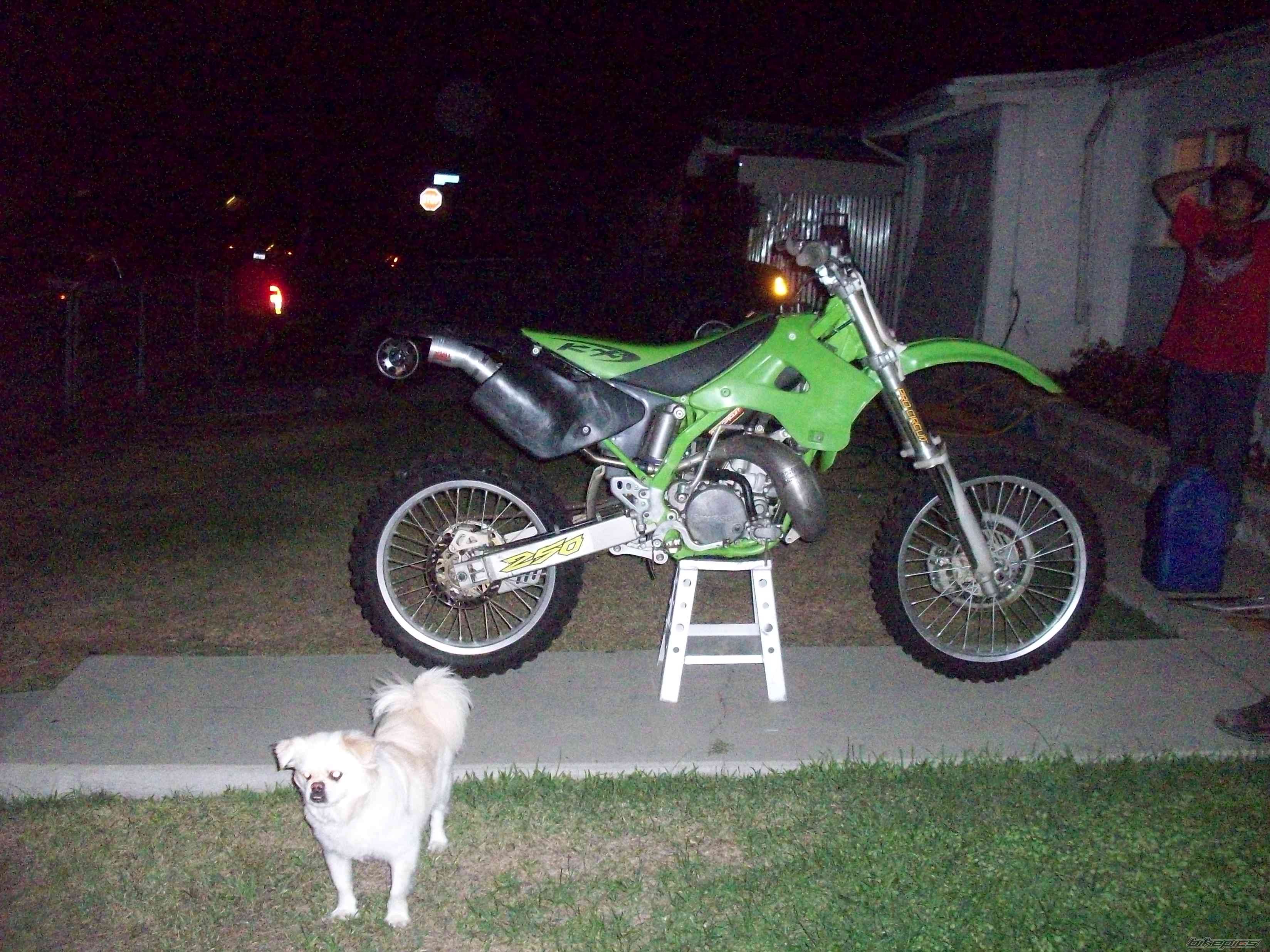 Photo 2088095