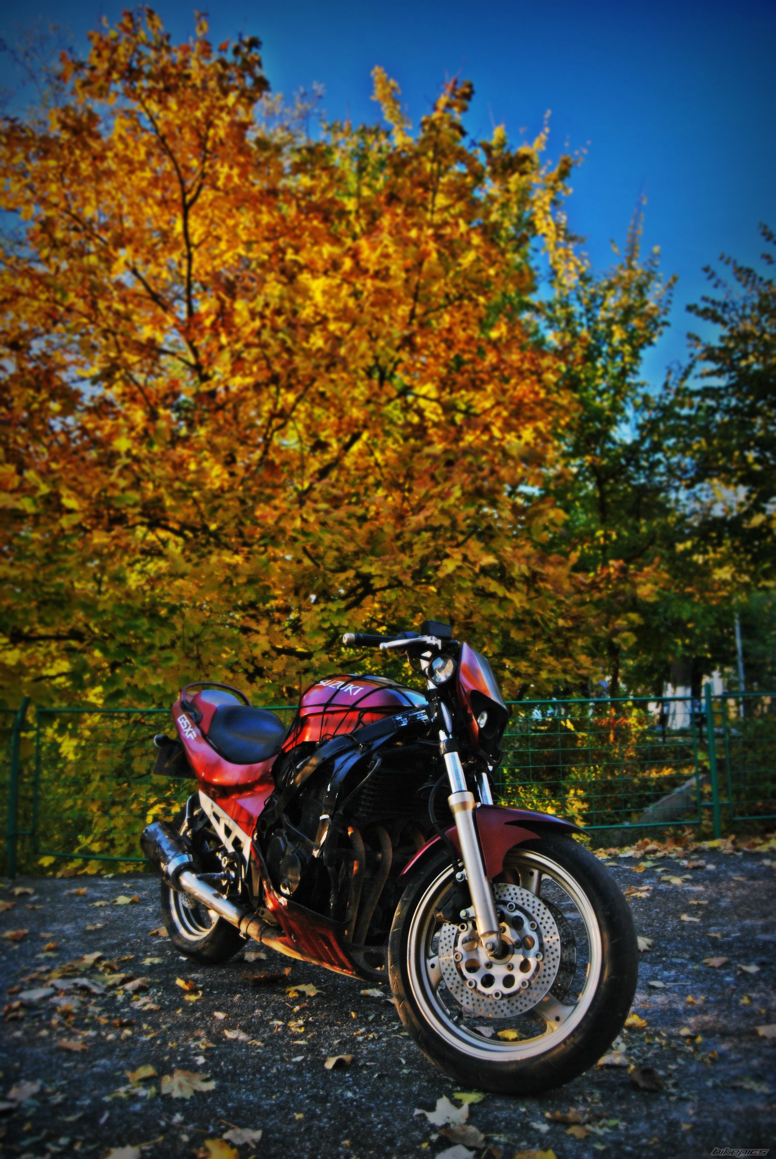 Photo 2088257
