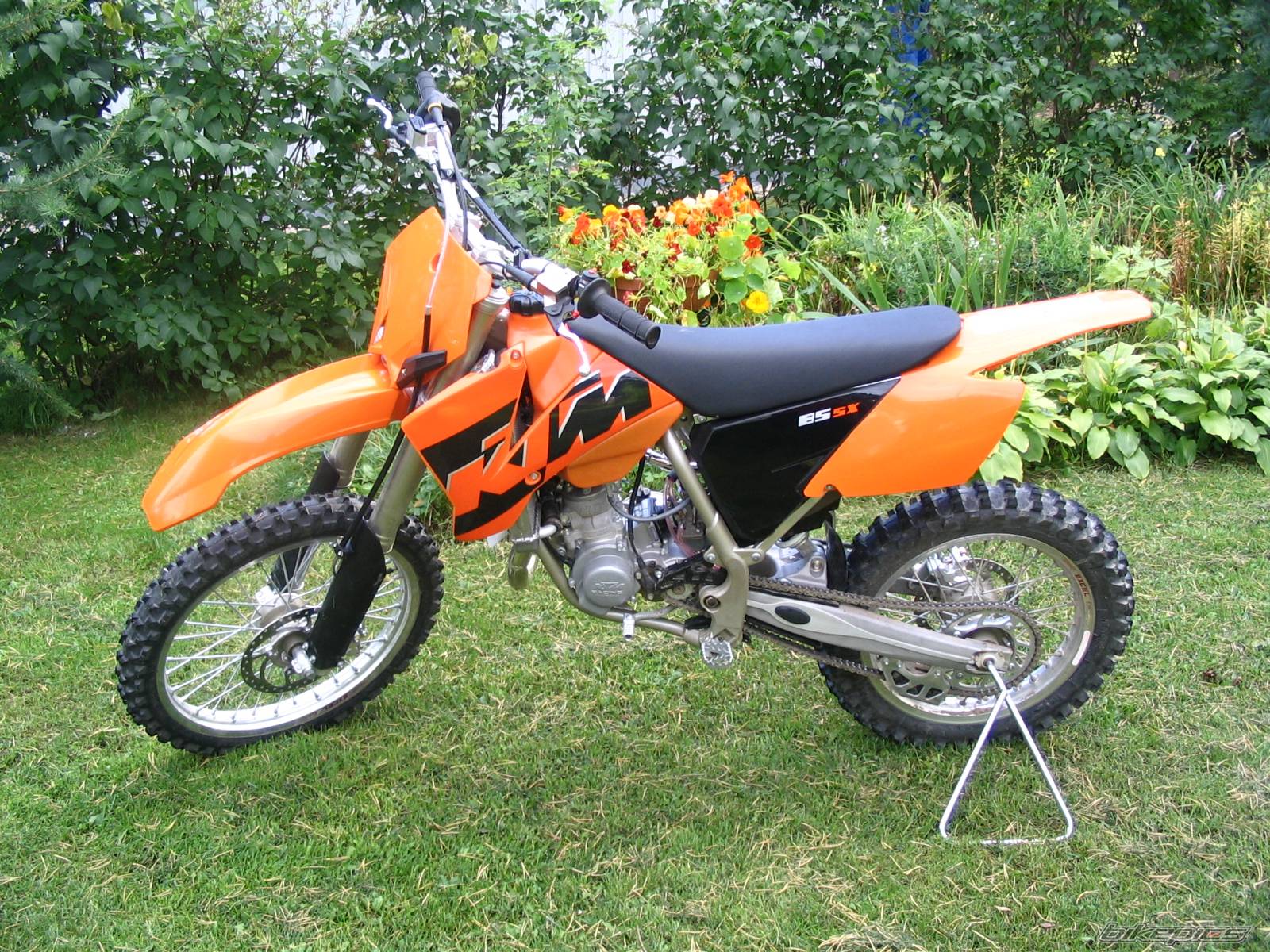 Photo 208831