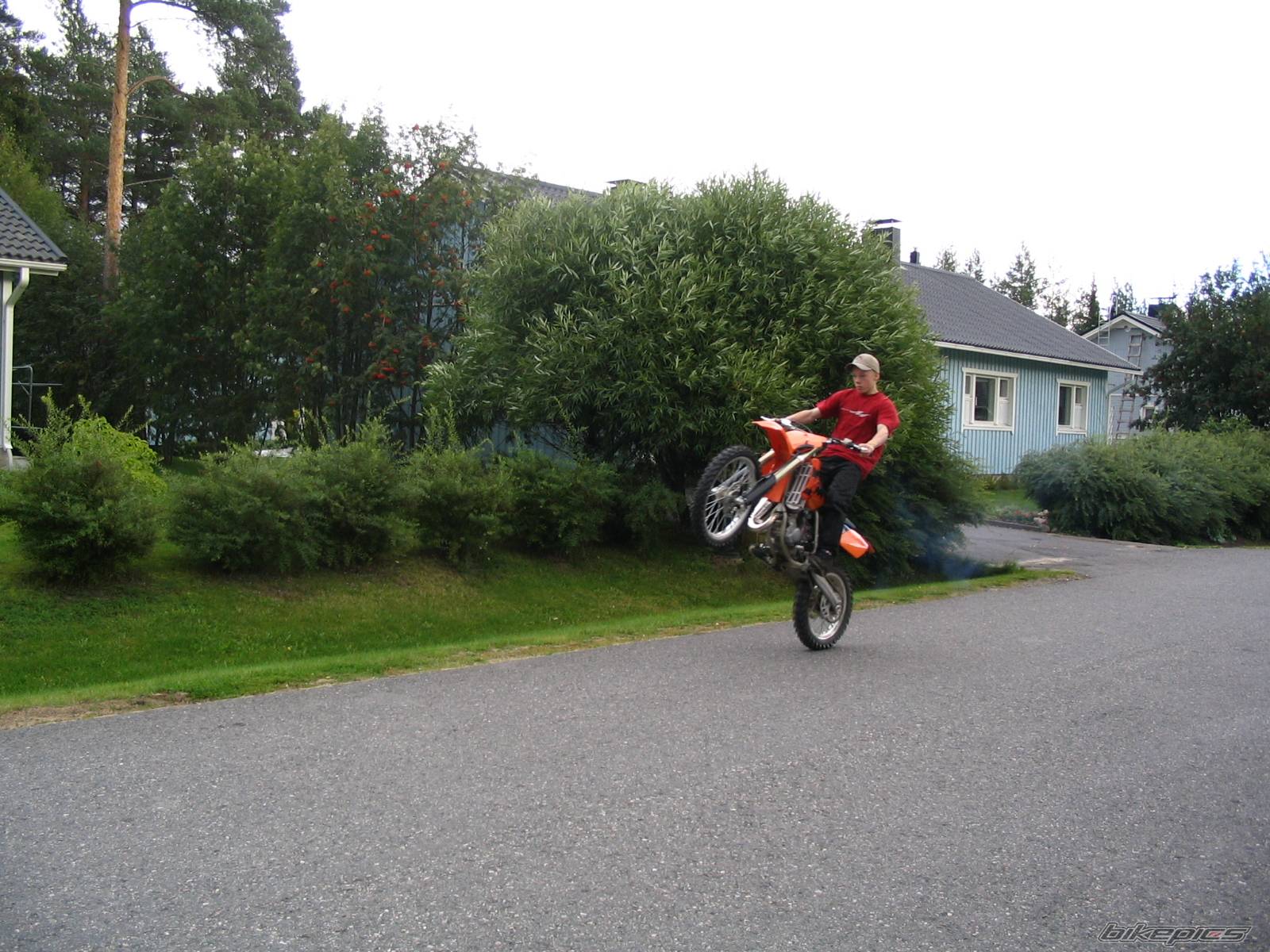 Photo 208833