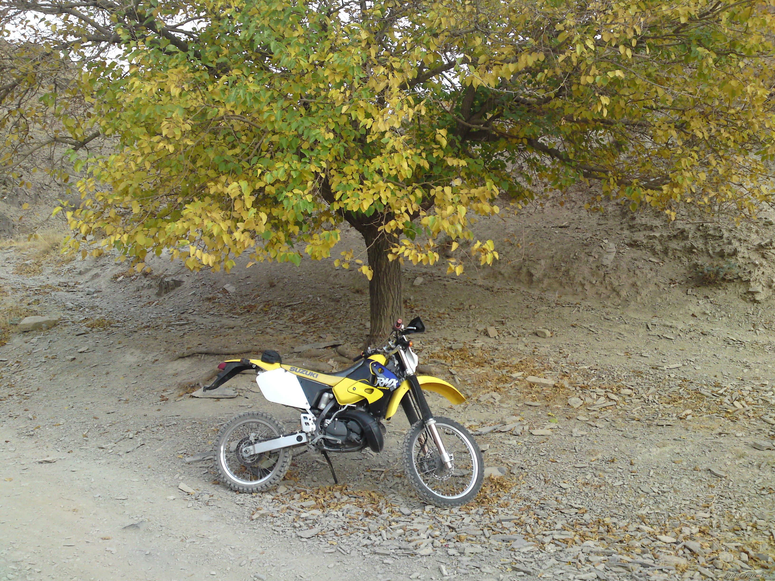 Photo 2088405