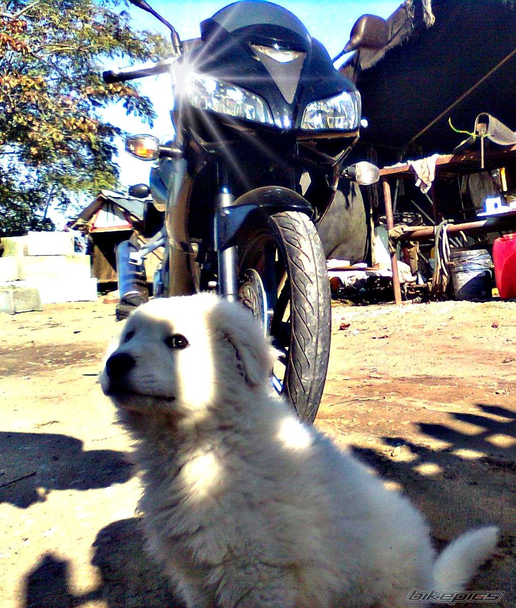 Photo 2088650
