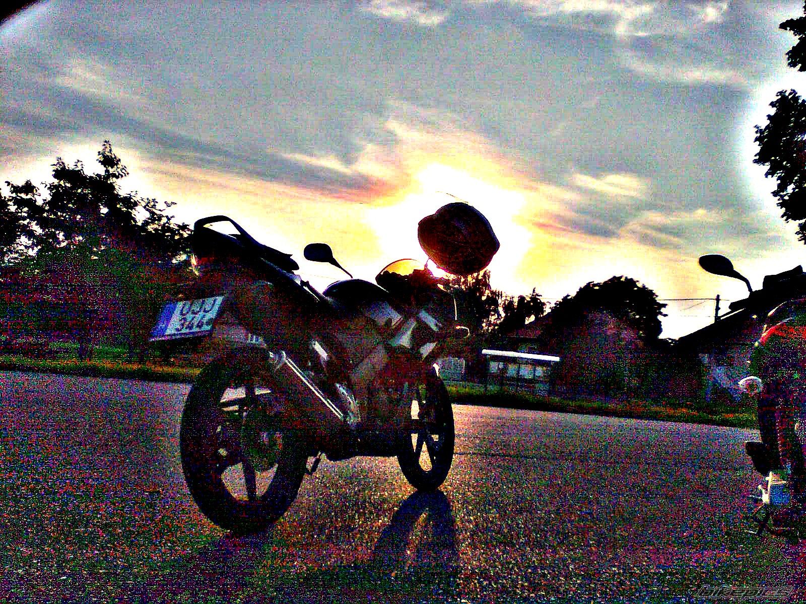 Photo 2088659
