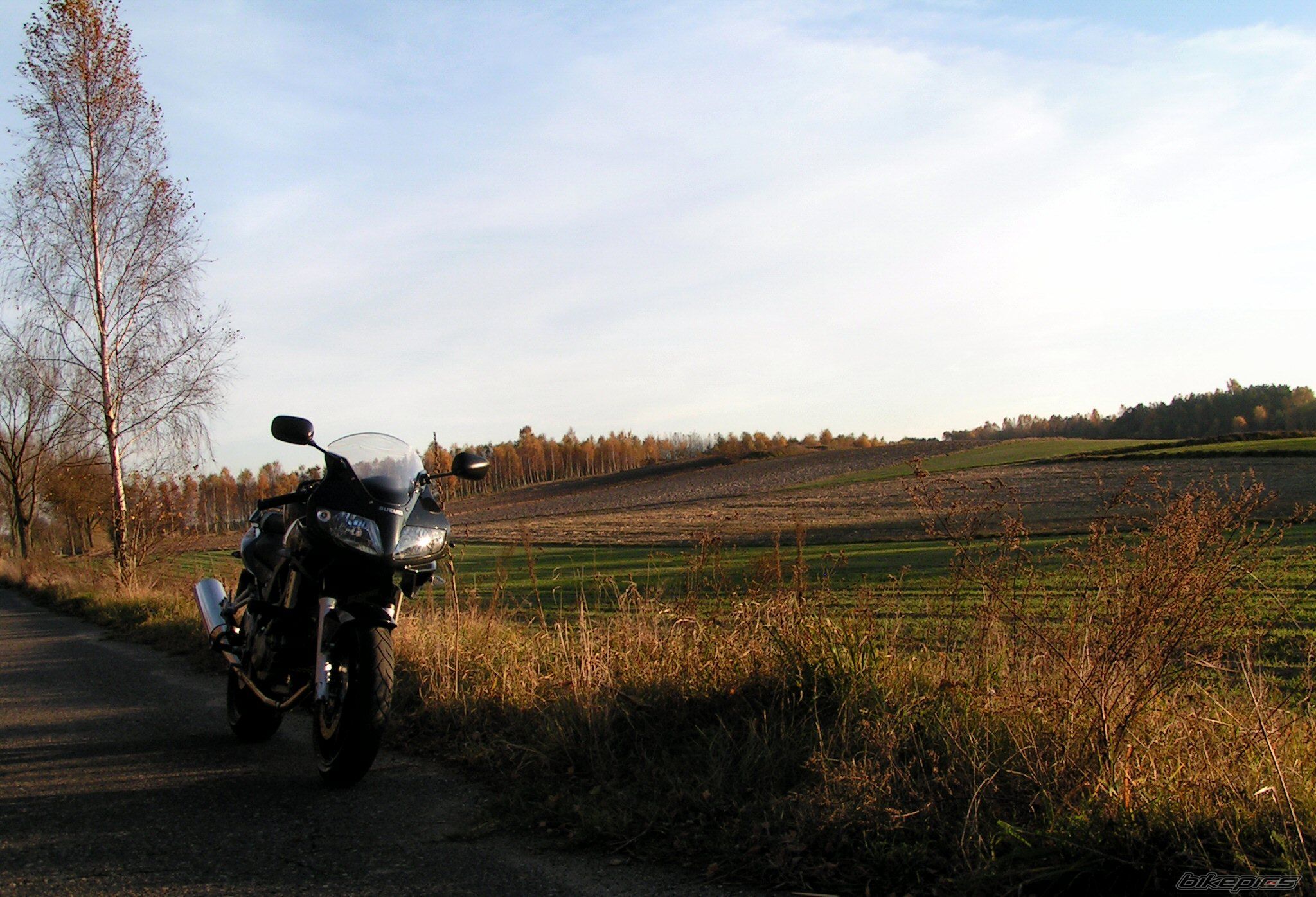 Photo 2088945