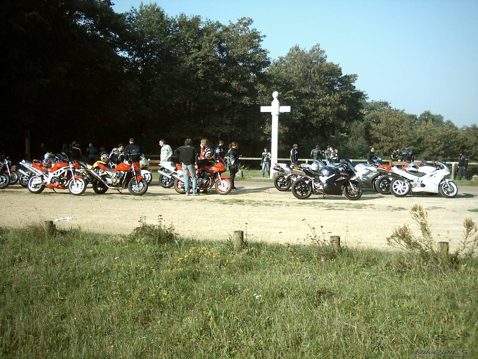 Photo 208925