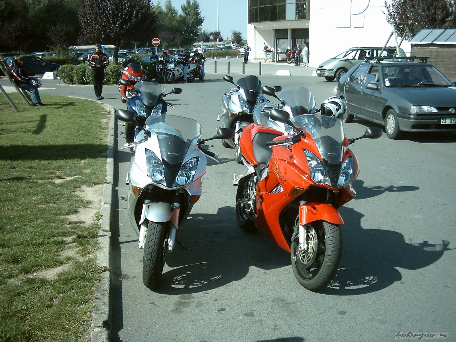 Photo 208927