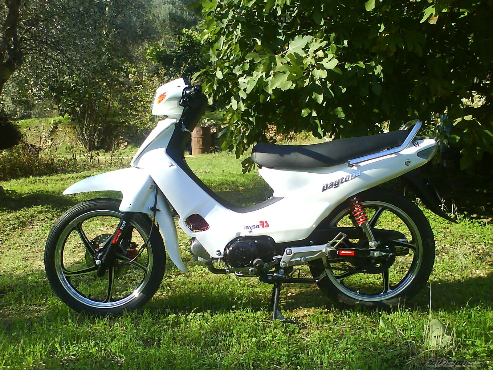 Photo 2089813