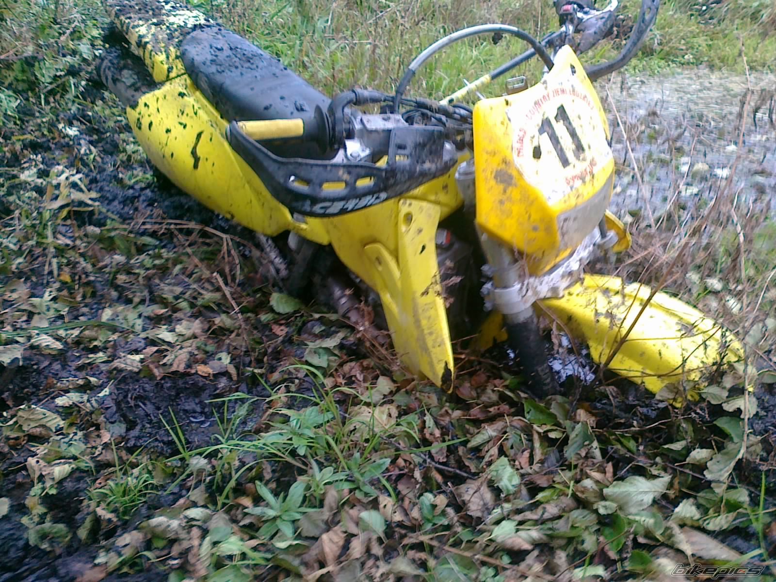Photo 2089870