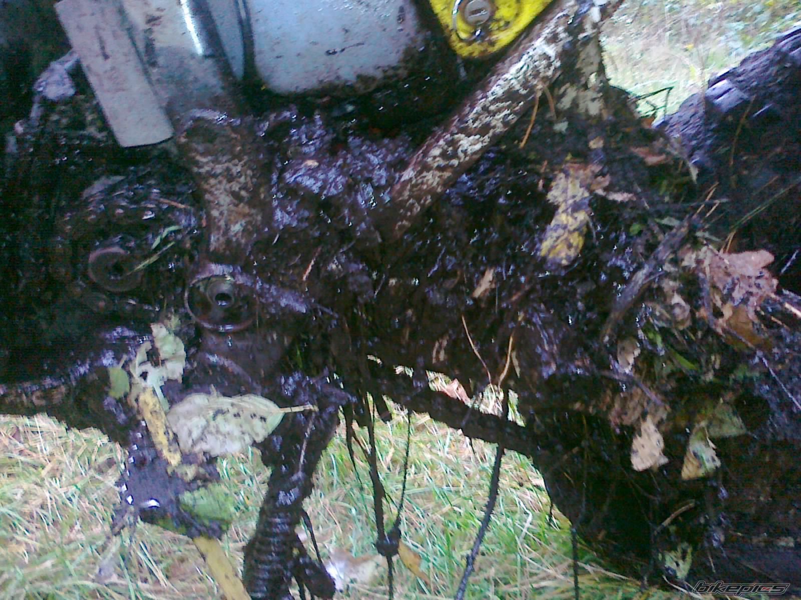 Photo 2089883