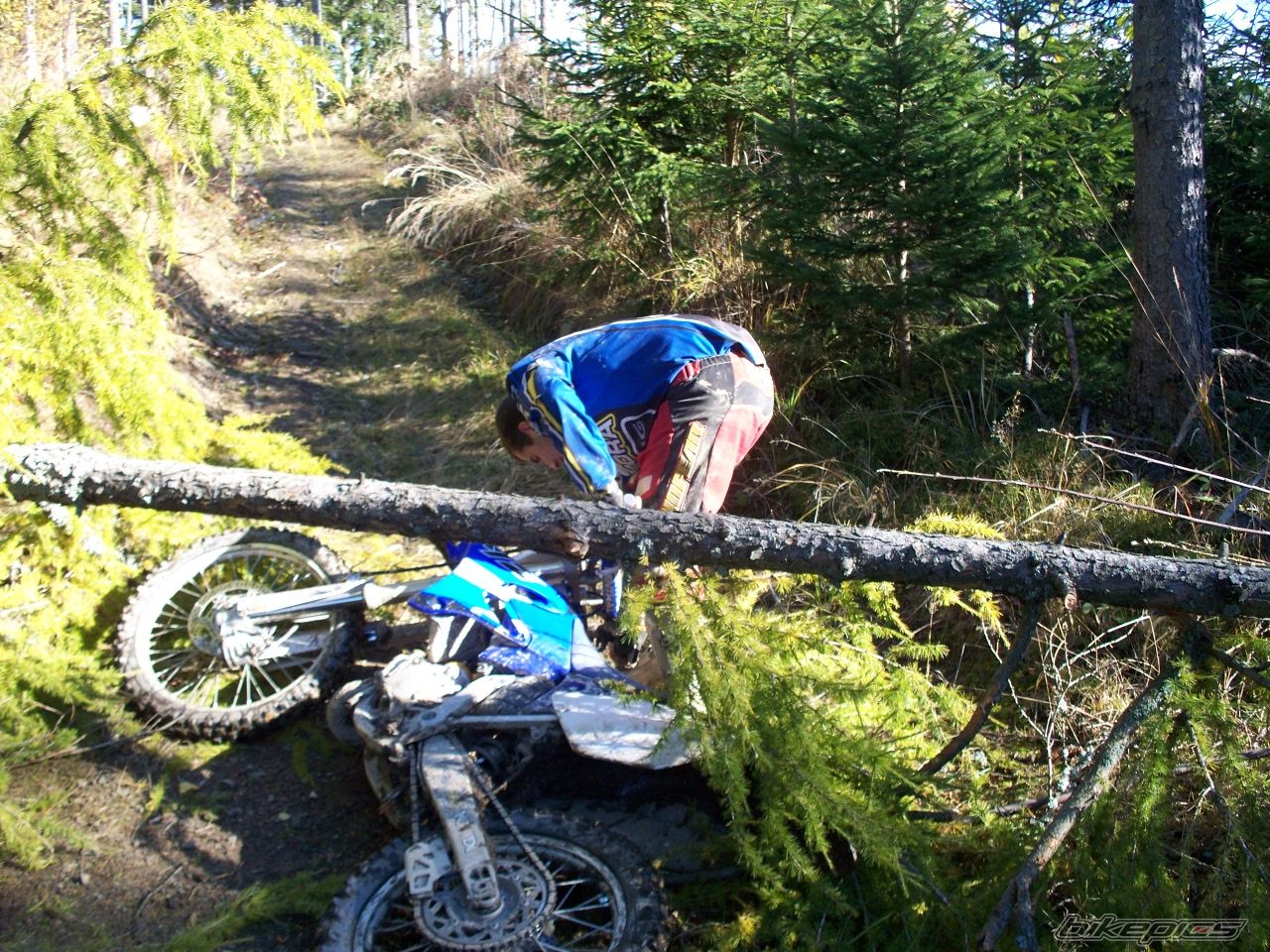 Photo 2089926