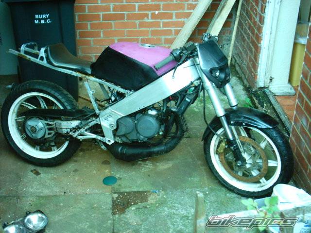 Photo 208993