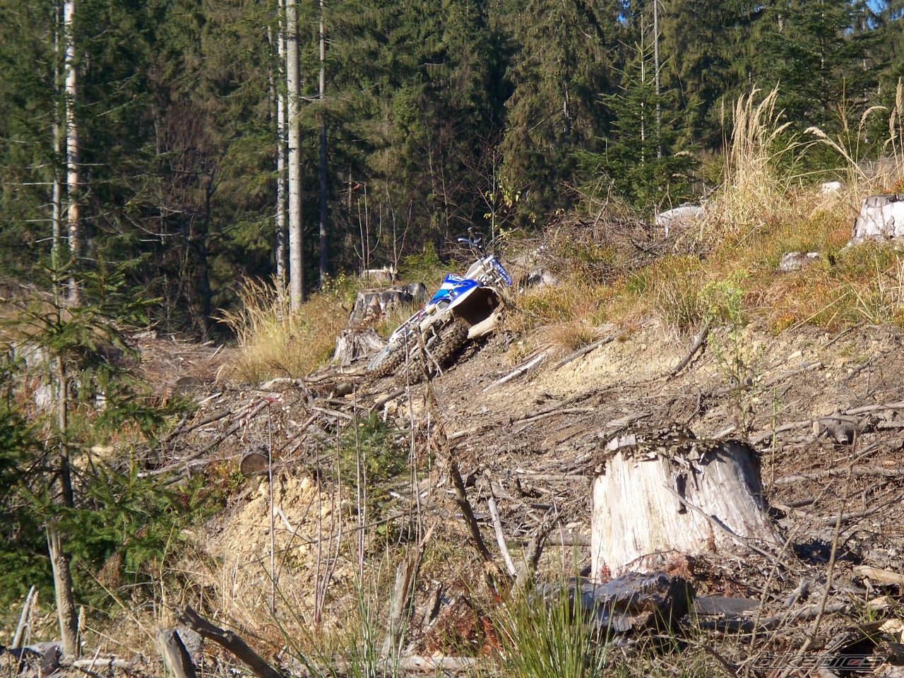 Photo 2089931