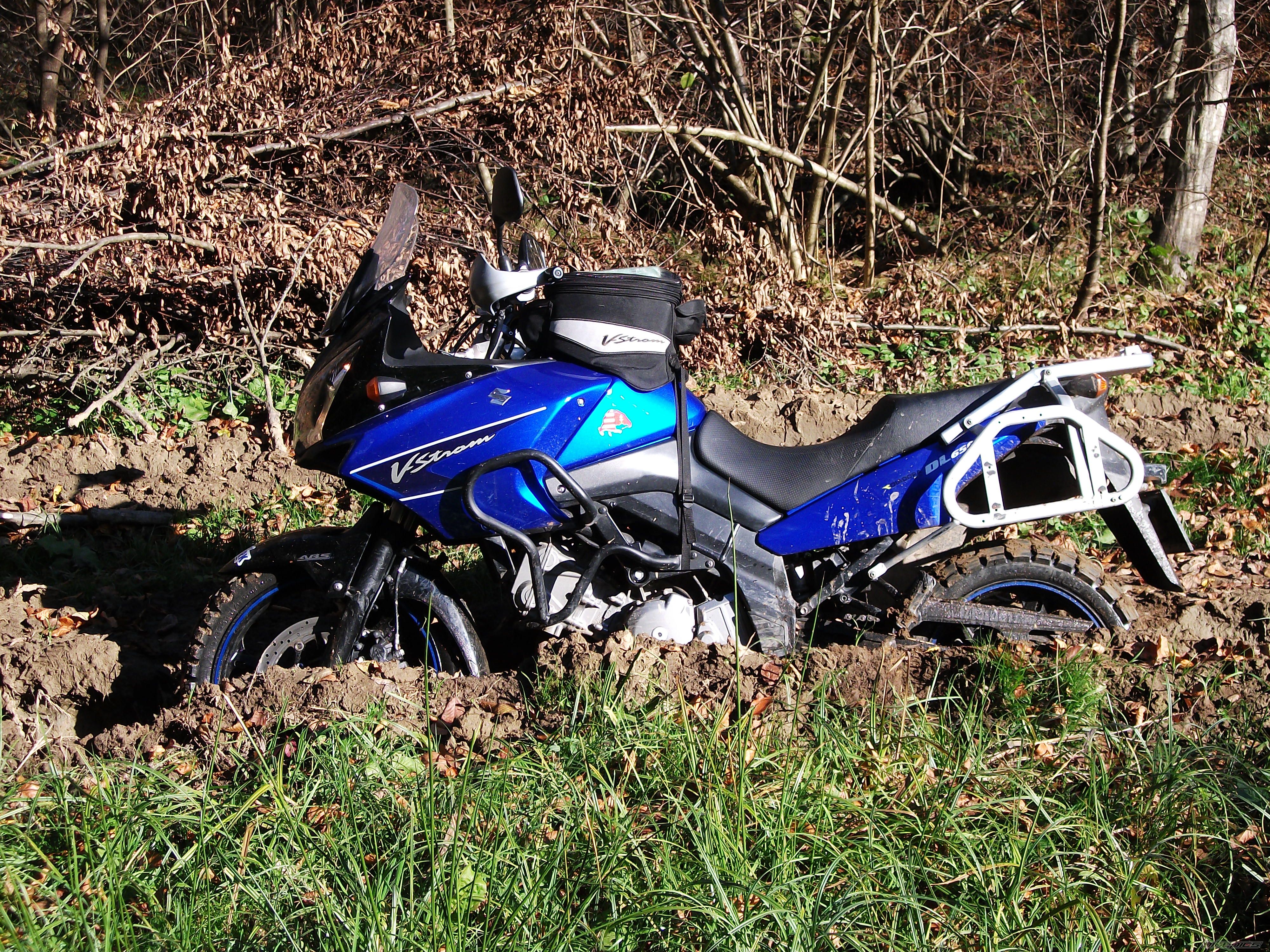 Photo 2089974