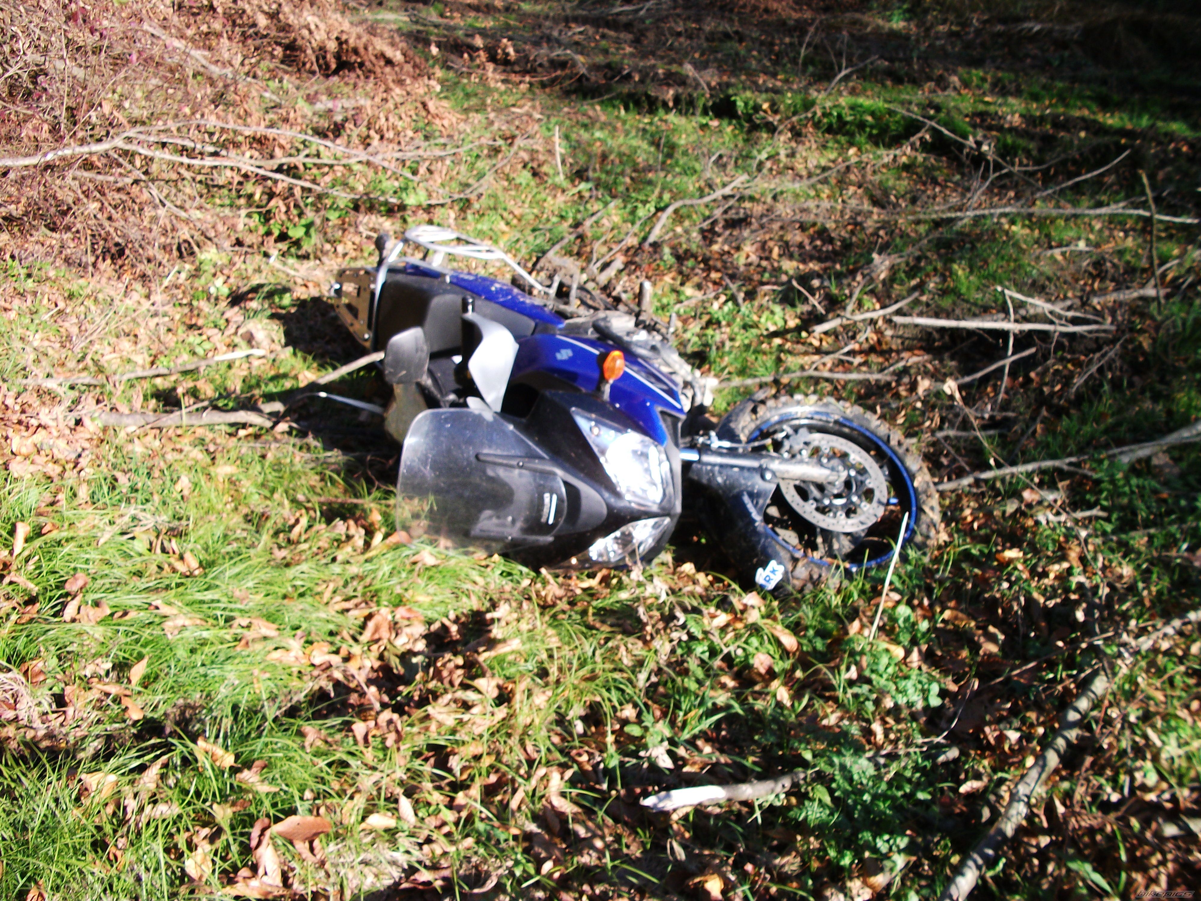 Photo 2089975