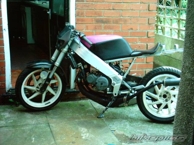 Photo 209003