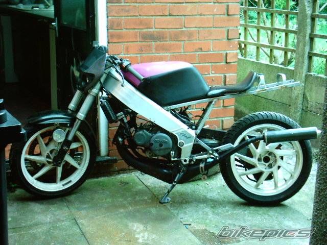Photo 209004