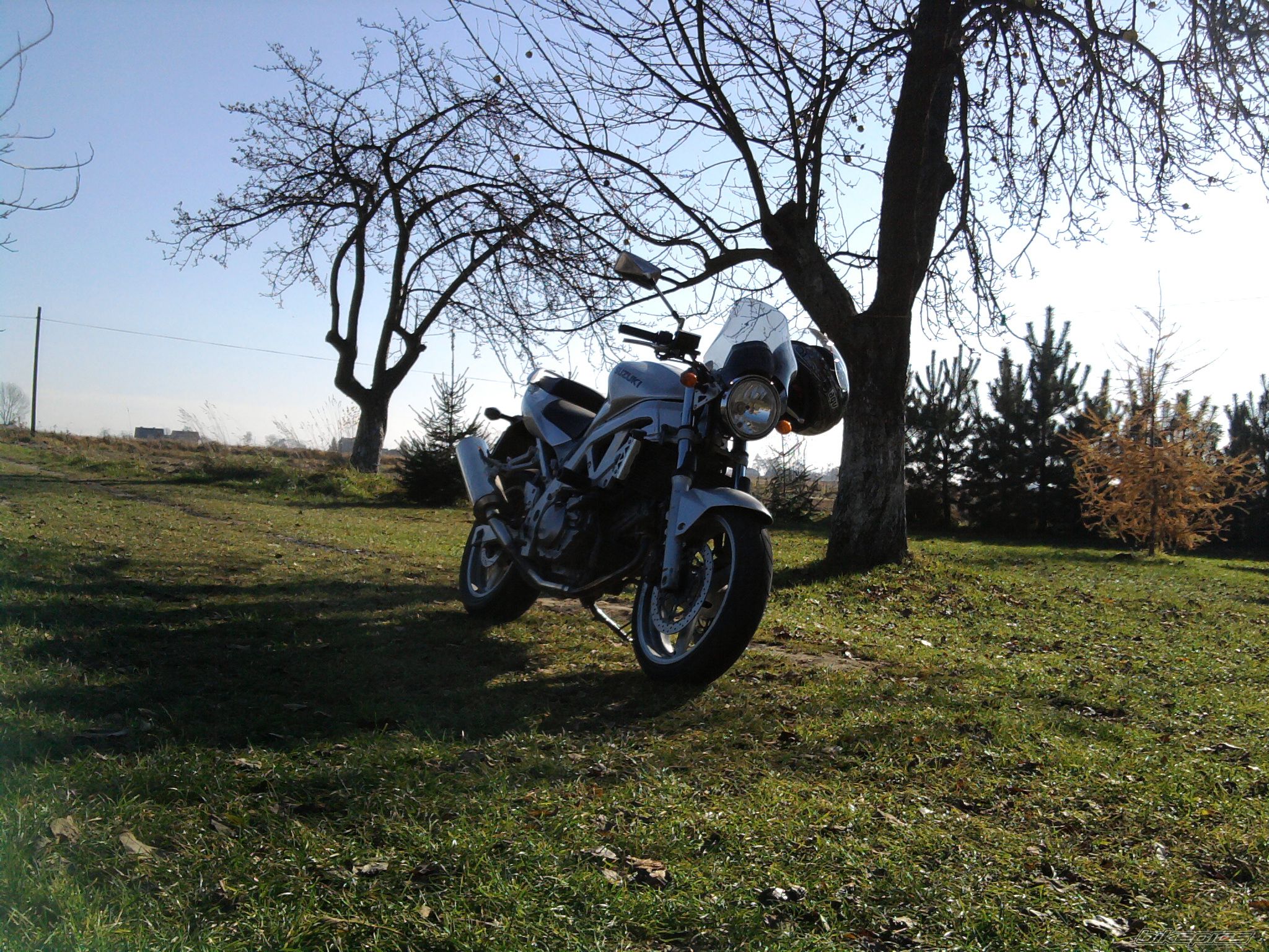 Photo 2090092