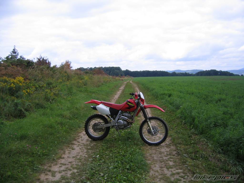 Bike Photo 209053