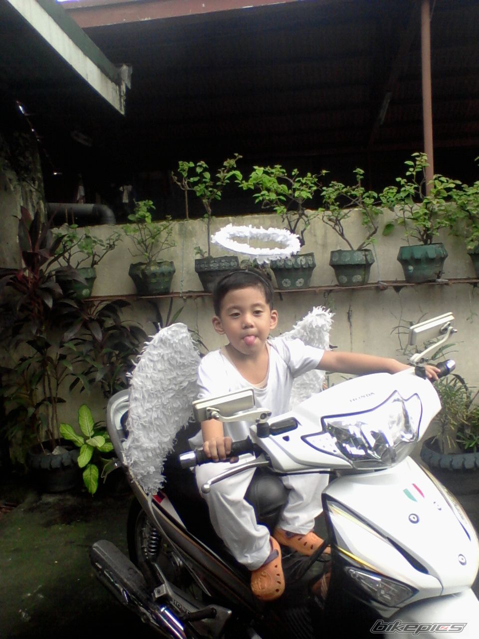 Bike Photo 2090931