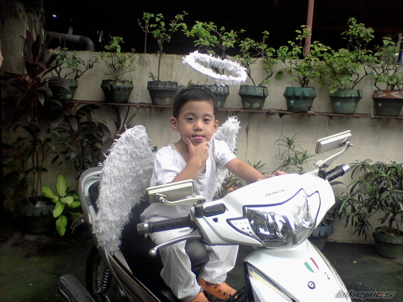 Bike Photo 2090932